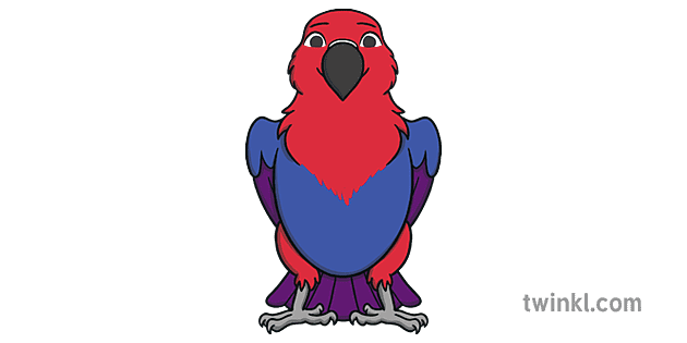 Persevering-Parrot---Character-Animal-Bird-Jungle-Zoo-EYFS